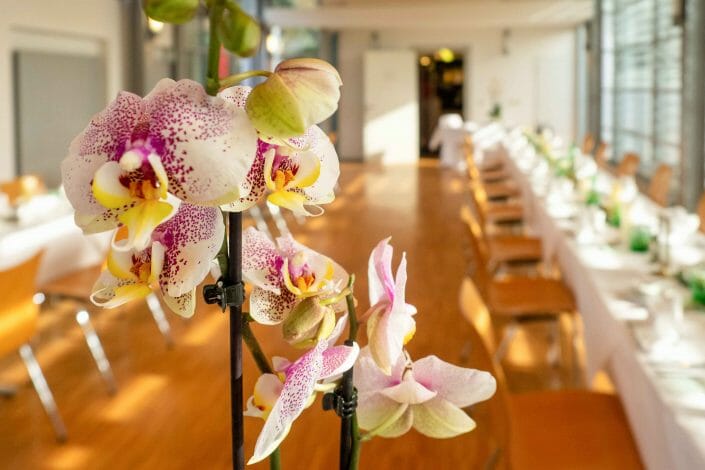 Hochzeit Tischdekoration Botanischer Garten Linz